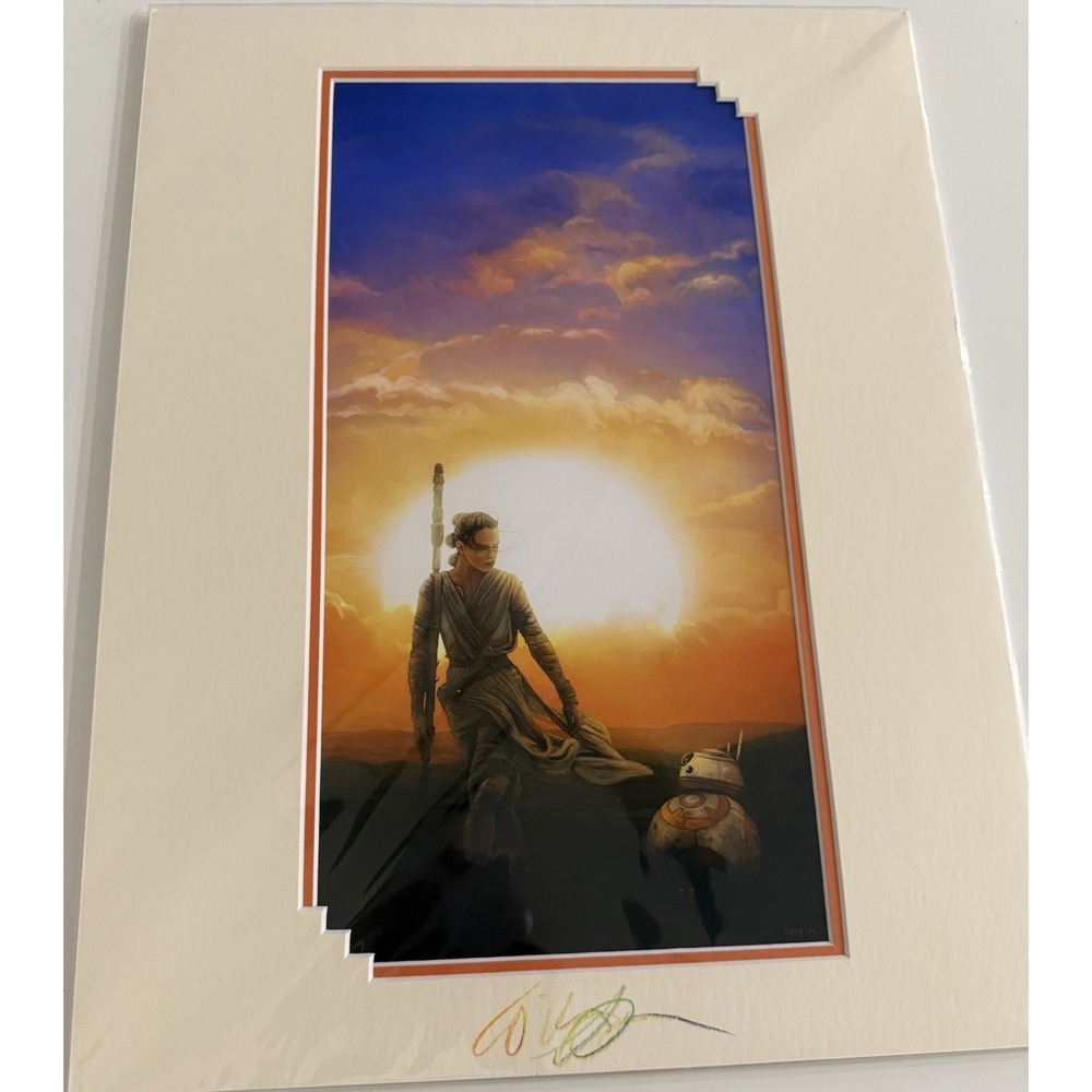 Disney Parks Star Wars Rey BB-8 Print SIGNED William Silvers 18x14" Force Within